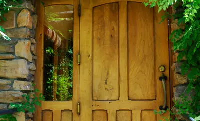 front door with surrounding greenery