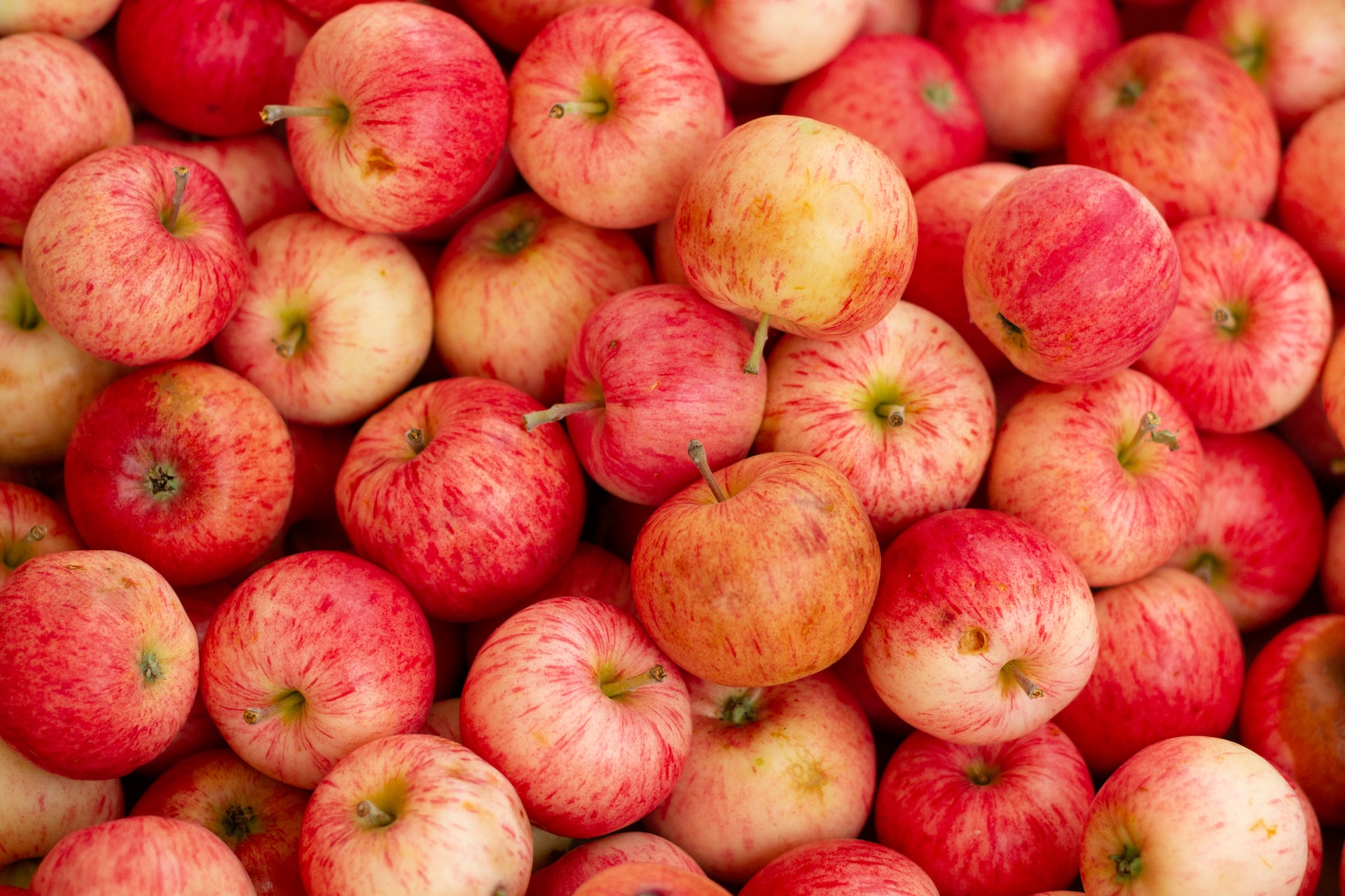 bunch of red apples - are apples good for teeth